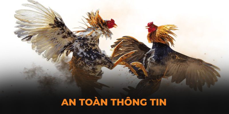 An toàn thông tin